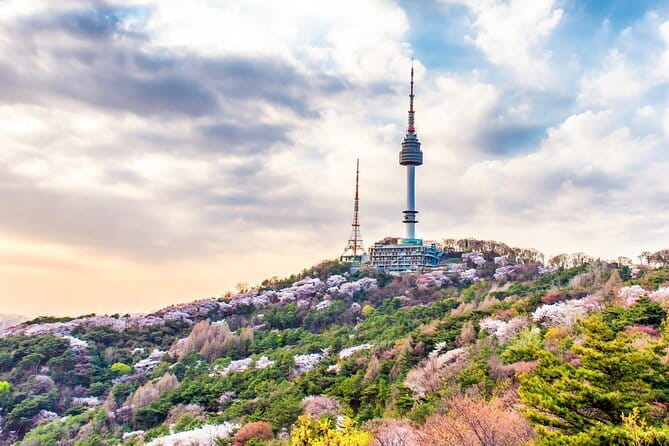 Lee’s Private 4-hour Customized Seoul Tour - Price and value: what $117 gets you in a private half-day