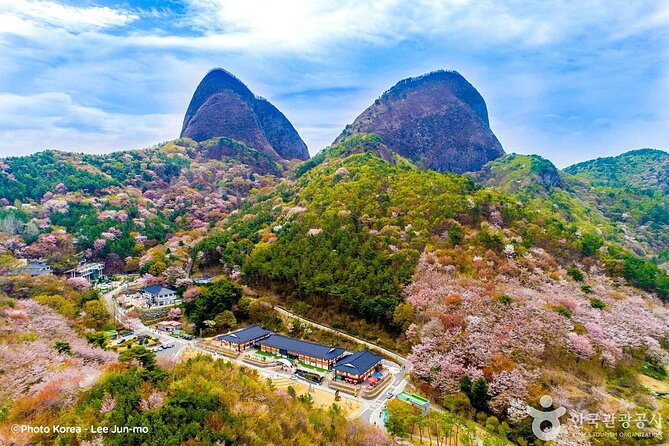 Maisan Cherry Blossom and Jeonju Hanok Village - Key highlights to know before you go