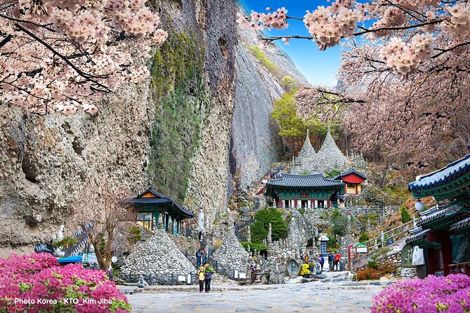Maisan Cherry Blossom and Jeonju Hanok Village - Maisan + Jeonju in one day: why this combo works