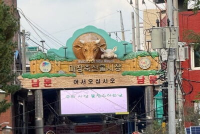 Majang Meat Market Experience: Private Tour with Han-woo Beef BBQ - Korea’s biggest meat market: what you’ll see and how to handle it