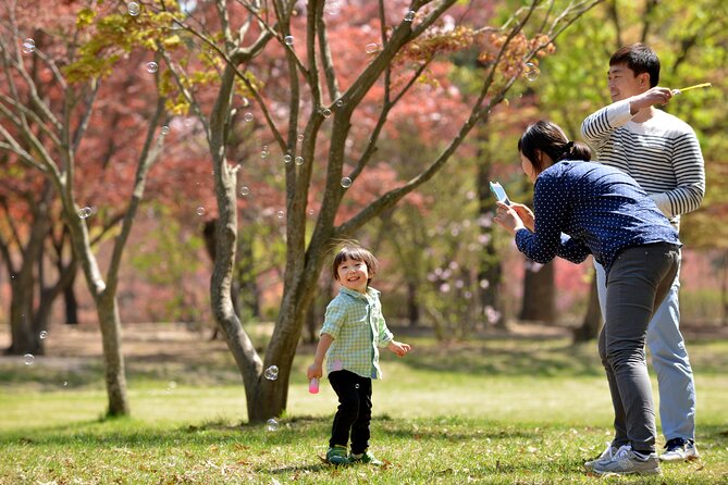 Mount Seorak and Nami Island One Day Tour from Seoul - Guides make or break a day like this