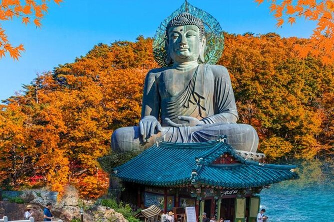 Mt.Seorak & Naksan Temple Day Trip from Seoul - A 12-Hour East Coast Reset From Seoul