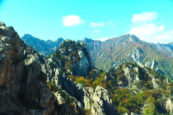 Mt.Seorak & Naksan Temple Day Trip from Seoul - Price and Value: Why This Costs $61.54 and What You’re Really Buying