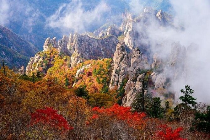 Mt.Seorak & Naksan Temple Day Trip from Seoul - Naksansa Temple Above the Sea: Calm Views That Feel Like a Break