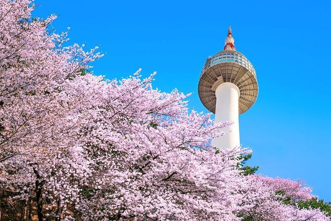 N Seoul Tower Observatory Ticket South Korea - Key highlights to plan around