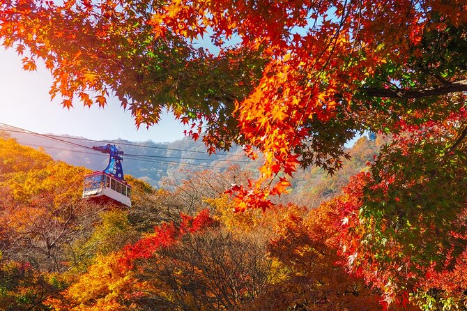 Naejangsan National Park Autumn Foliage One Day Tour from Seoul - A long coach ride for serious fall color
