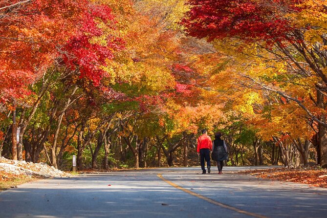 Naejangsan National Park Autumn Foliage One Day Tour from Seoul - Naejangsa Temple visit: autumn color with a deep timeline