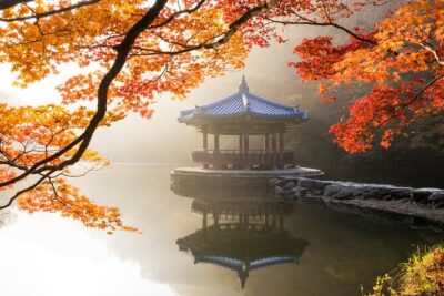 Naejangsan National Park Autumn Foliage One Day Tour from Seoul - Naejangsan National Park: your 5-hour leaf-walk window