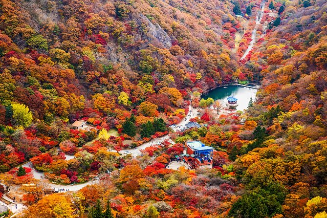 Naejangsan National Park Autumn Foliage One Day Tour from Seoul - Free time strategy: explore, but don’t wander too far
