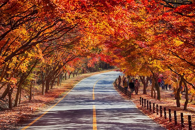Naejangsan National Park Autumn Foliage One Day Tour from Seoul - Comfort and schedule: the ride matters as much as the leaves