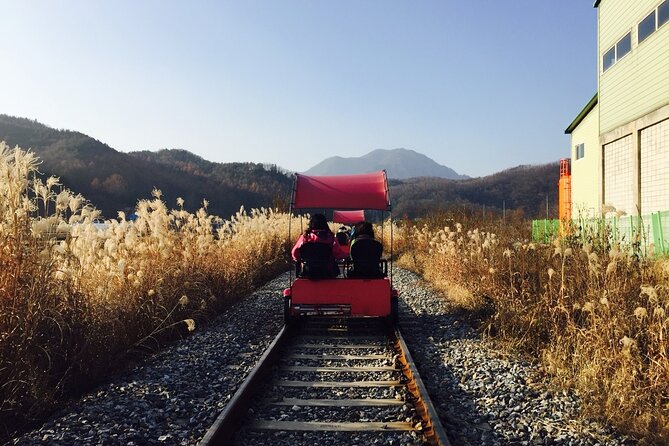 Nami Island and Begonia Bird Park Tour from Seoul (opt Railbike) - Nami Island’s Tree-Lined Paths and Winter Sonata Photo Spots