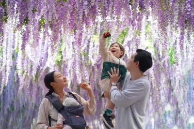 Nami Island and Begonia Bird Park Tour from Seoul (opt Railbike) - Gapyeong Begonia Bird Park: Flowers, Birds, and Alpaca Encounters