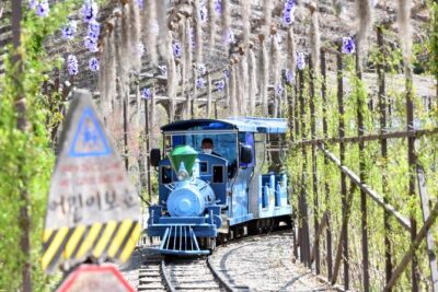 Nami Island and Petite France & Italian Village Day Trip from Seoul - Petite France: a fast 45 minutes of filmset charm