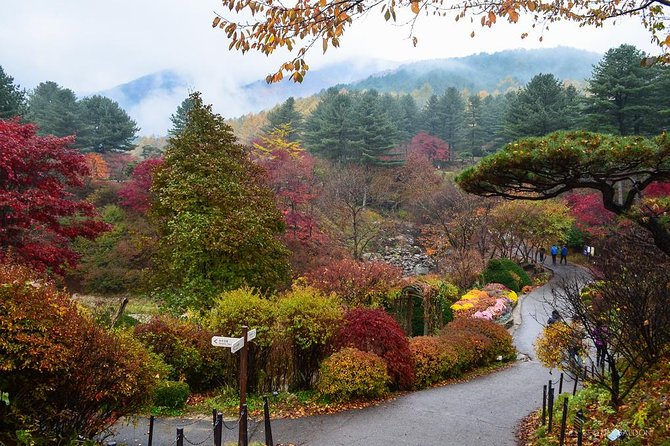 Nami Island from Seoul: Petit France and Garden of Morning Calm - Value and Price: When $270 Makes Sense