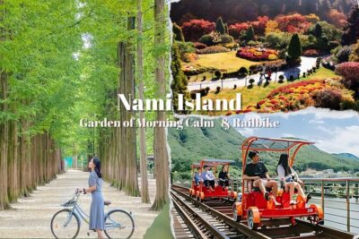 Nami Island & Garden of Morning Calm & Gangchon Railbike Tour - Stop 1: Garden of Morning Calm’s light world (and why winter matters)