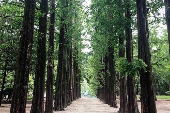 Nami Island & Nearby Attractions : Charter Van Tour With Driver - Garden of Morning Calm: seasons change everything