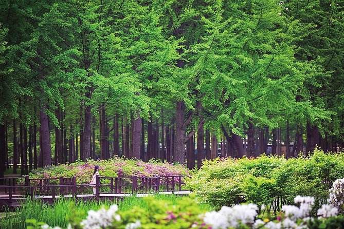 Nami Island& Petite France& Garden of Morning Calm& Italian Village One-Day Tour - Stop 2: Nami Island’s tree-lined walk and winter fame