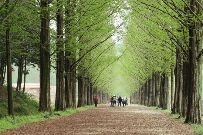Nami Island& Petite France& Garden of Morning Calm& Italian Village One-Day Tour - Stop 3: Garden of Morning Calm for seasons you can actually see
