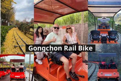 Nami Island & Petite France & Italian Village & Gangchon Rail Bike One-Day Tour - Getting there: Hongik Univ. Station, pickup options, and bus reality