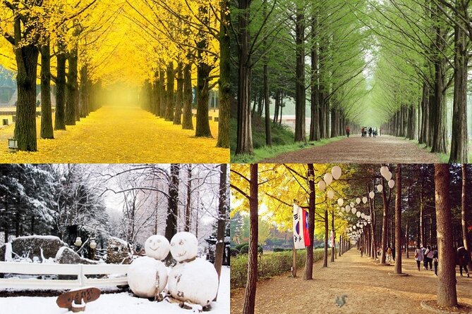 Nami Island & Petite France with Italian Village One-Day Tour - How This Day Trip Works From Hongik Univ. Station