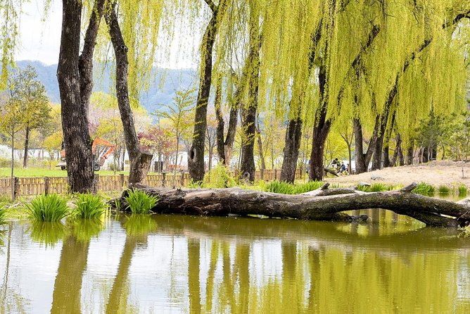 Nami Island & Petite France with Italian Village One-Day Tour - What to Pack and How to Plan Your Free Time