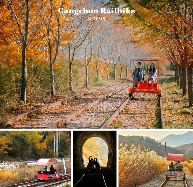 Nami Island, Railbike & Alpaca Garden Day Trip from Seoul - The Alpaca Garden in Gapyeong: feeding alpacas and taking your time