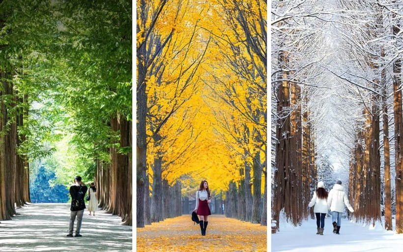 Nami Island, Railbike & Alpaca Garden Day Trip from Seoul - The guide experience: why the small details can make or break the day