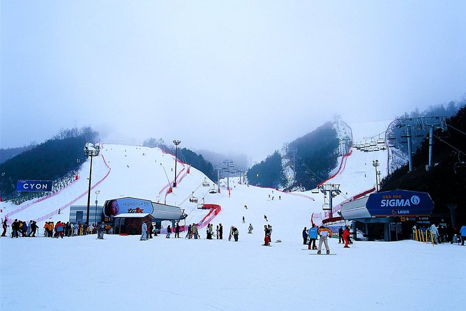 Nami Island + Ski Tour - Nami Island in winter: the 5-minute ferry that saves your time