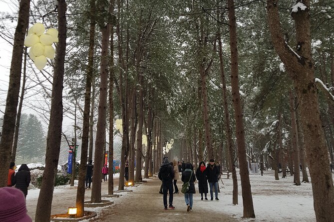 Nami Island + Ski Tour - The group logistics: how the day stays efficient with up to 40 people