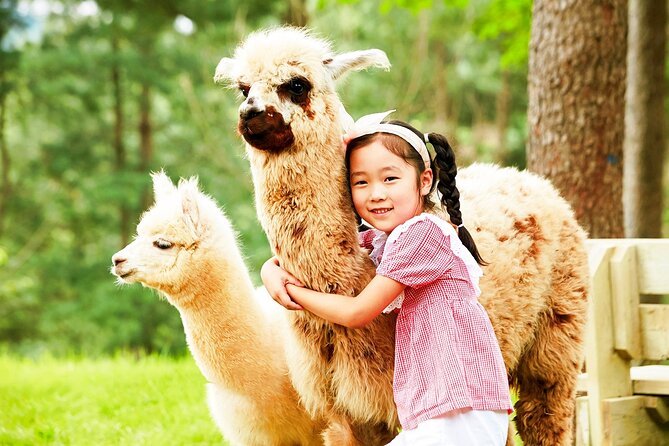 Nami+Alpaca+Garden of Morning Calm (+Rail Bike Option) - The Garden of Morning Calm: the design is the star