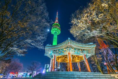 Night Flexible Private Guided Tour in Seoul(Optional Layover) - Deoksugung Palace at night: moonlit courtyards and a smart Monday swap