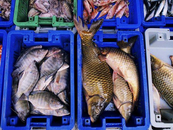 Noryangjin Fish Market Dinner - Key highlights you’ll care about
