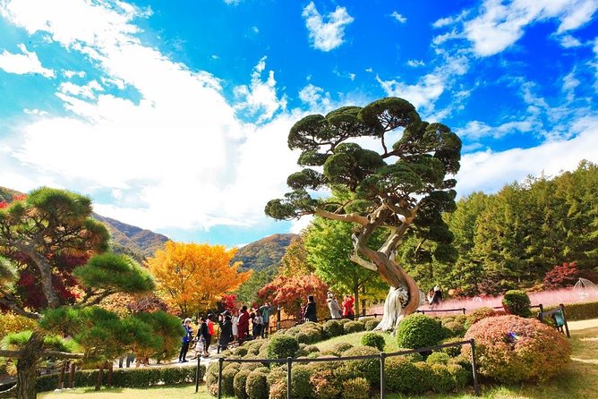 One Day Private Tour-Nami, Petite and Garden of Morning Calm - A private Seoul countryside loop that saves you hours of planning