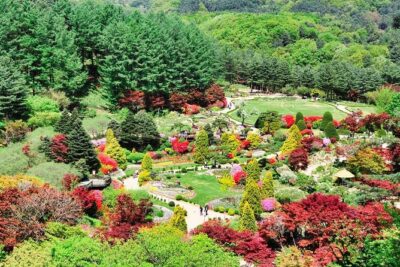 One Day Private Tour-Nami, Petite and Garden of Morning Calm - Petite France: a French-style village you can enjoy without over-planning