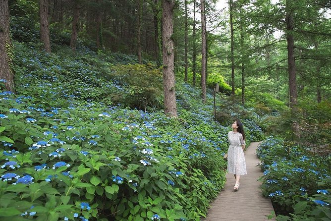 One Day Private Tour-Nami, Petite and Garden of Morning Calm - Why the licensed English guide changes the whole experience