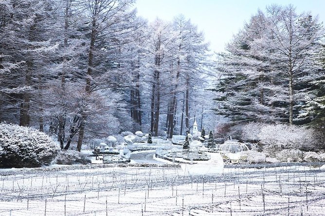 One Day Private Tour-Nami, Petite and Garden of Morning Calm - Timing and logistics you’ll actually feel during the day