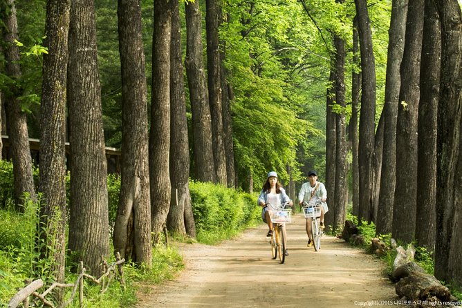 One Day Private Tour-Nami, Petite and Garden of Morning Calm - What to bring (and how to make the day more comfortable)
