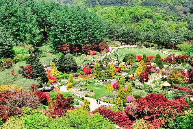 One Day Private Tour-Nami, Petite and Garden of Morning Calm - Petite France: a French-style village you can enjoy without over-planning