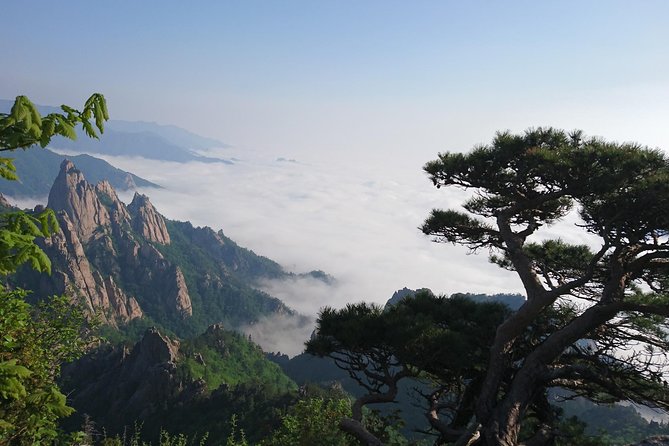 One-Day Tour for stunning Mt.Seoraksan from Seoul - A One-Day Escape From Seoul to Seoraksan National Park
