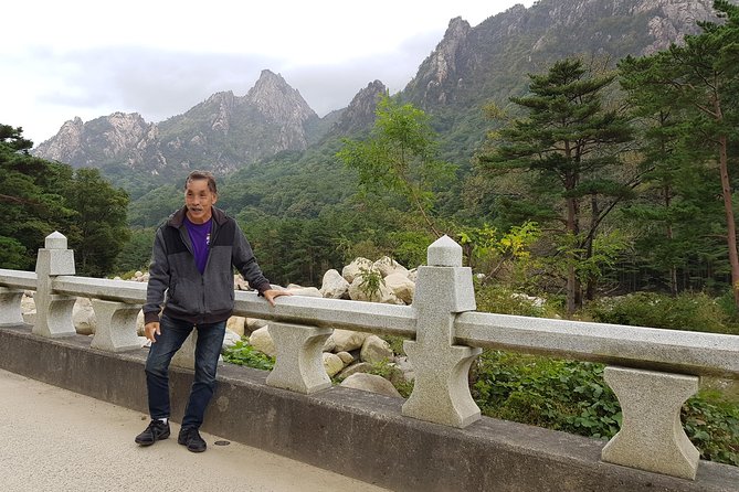 One-Day Tour for stunning Mt.Seoraksan from Seoul - The Seoraksan National Park Stop: A Famous Mountain in Real Time