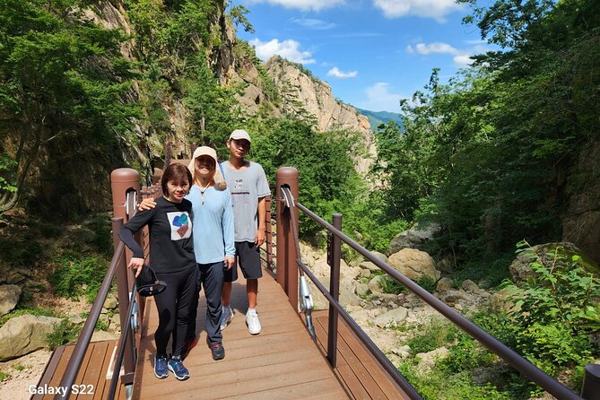 One-Day Tour for stunning Mt.Seoraksan from Seoul - Hotel Pickup and the Private Transportation Advantage