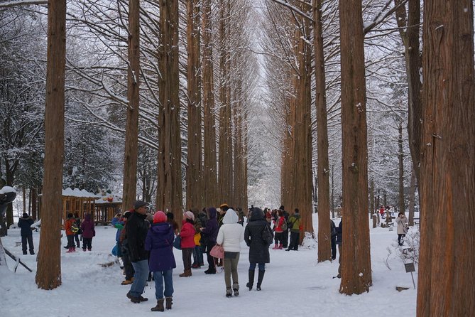 [Perfect Private Tour] Nami island, Petite France and Organic Strawberry Farm - Who This Tour Fits Best (and Who Might Want to DIY)