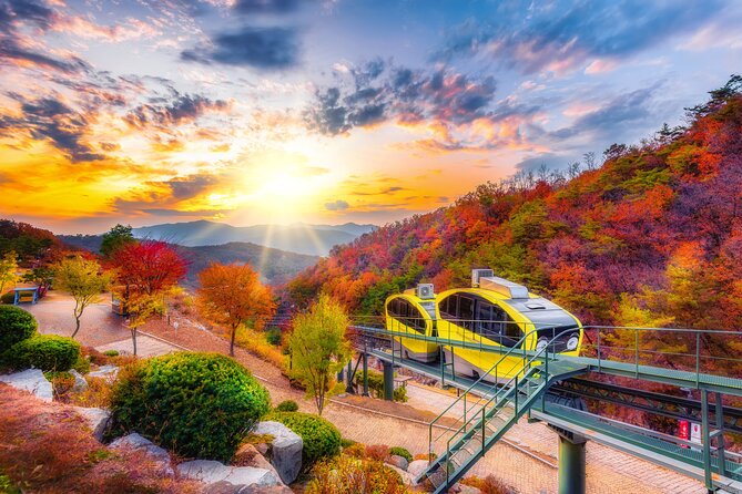 Pocheon Art Valley, Garden & Fruit Picking Day Tour from Seoul - Why this day trip beats DIY from Seoul