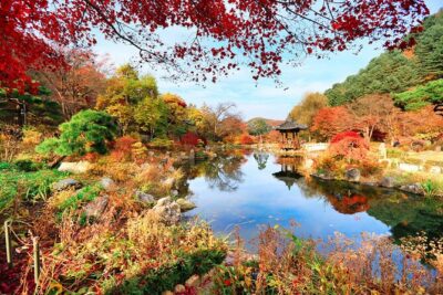 Pocheon Art Valley, Garden & Fruit Picking Day Tour from Seoul - Art Valley: lake walks, cliffs, and that included monorail