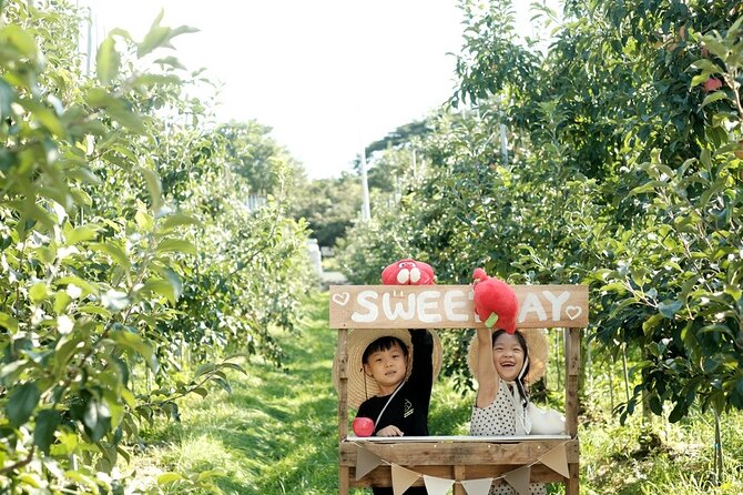 Pocheon Art Valley, Garden & Fruit Picking Day Tour from Seoul - What’s included (and what you’ll need to budget for)