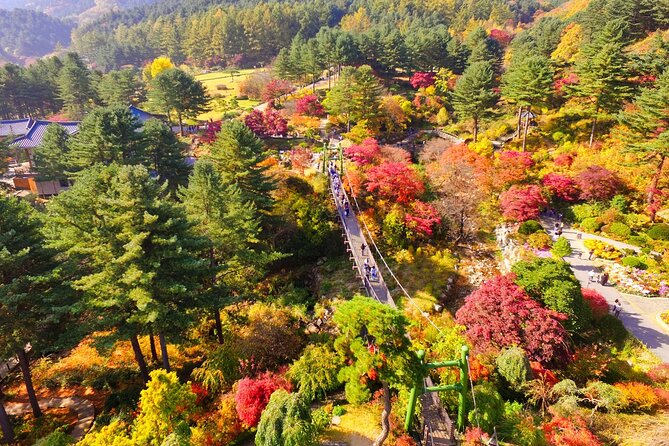 Pocheon Art Valley, Garden & Fruit Picking Day Tour from Seoul - Price and value: is $72.38 a good deal?