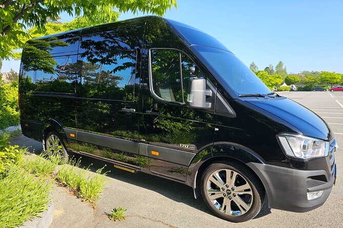 Private Airport Transfer From Incheon Airport To Seoul(up to 12) - Who This Transfer Is Best For (And Who Might Not Need It)
