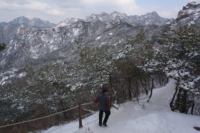 Private Bukhansan Hiking Tour (More Members Less Cost per Person) - How the Hiking Pace Gets Tailored (and Why That Matters)