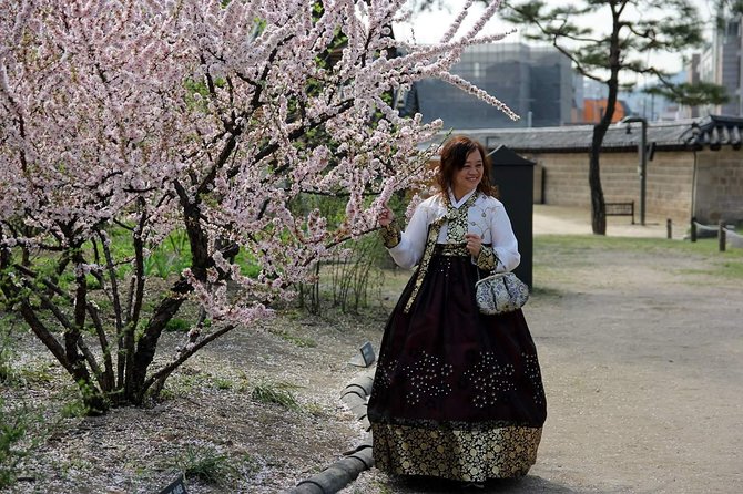 Private day tour Korea(Seoul trip) with Professional Photographer - Nami Island and Morning Calm Garden: A Scenic Day Outside the City