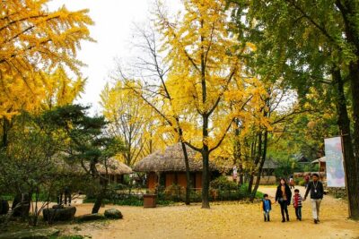 Private Day Trip to Korean Folk Village and Hwaseong Fortress - Price and Value: What You’re Paying For